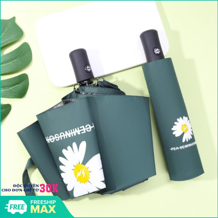 [HOTTREND 2020 ] Ô dù gấp gọn, ô che mưa, ô gấp gọn hình hoa cúc, phong cách Hàn Quốc- Giao màu ngẫu nhiên