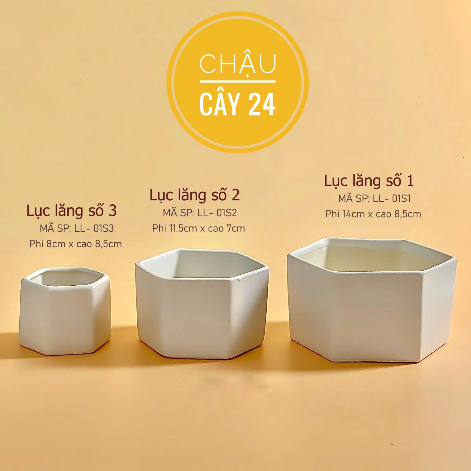 Chậu Trồng Sen Đá, Xương Rồng, Cây Cảnh Để Bàn, Cây bonsai Hình Lục Giác