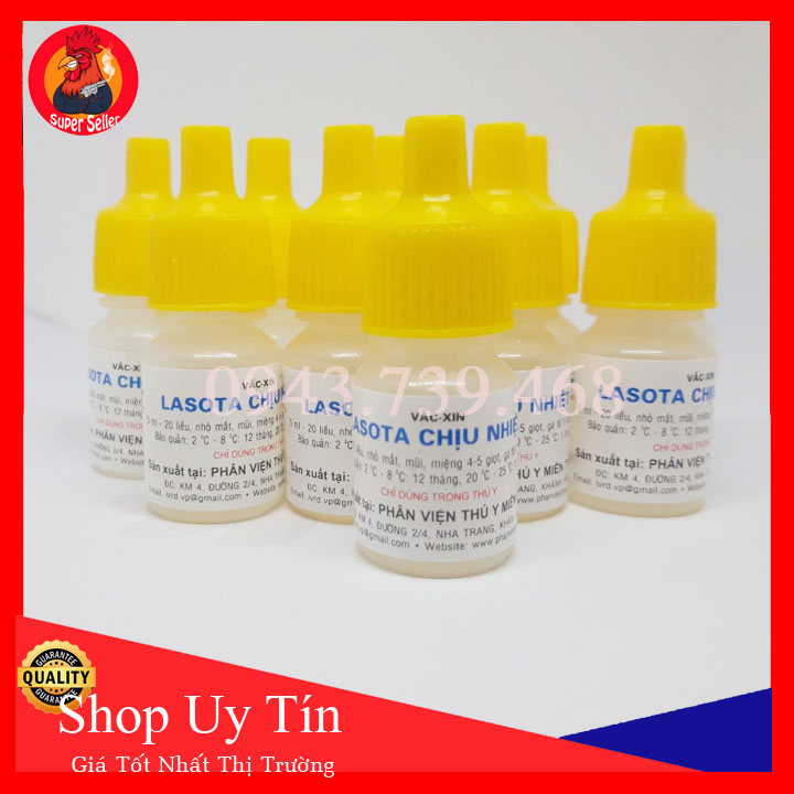 Combo 10 Lọ Vacxin Lasota Chịu Nhiệt-Ngừa Dịch Tả Phân Dít Đít Cho Gà Con Gà Đá 200 Liều