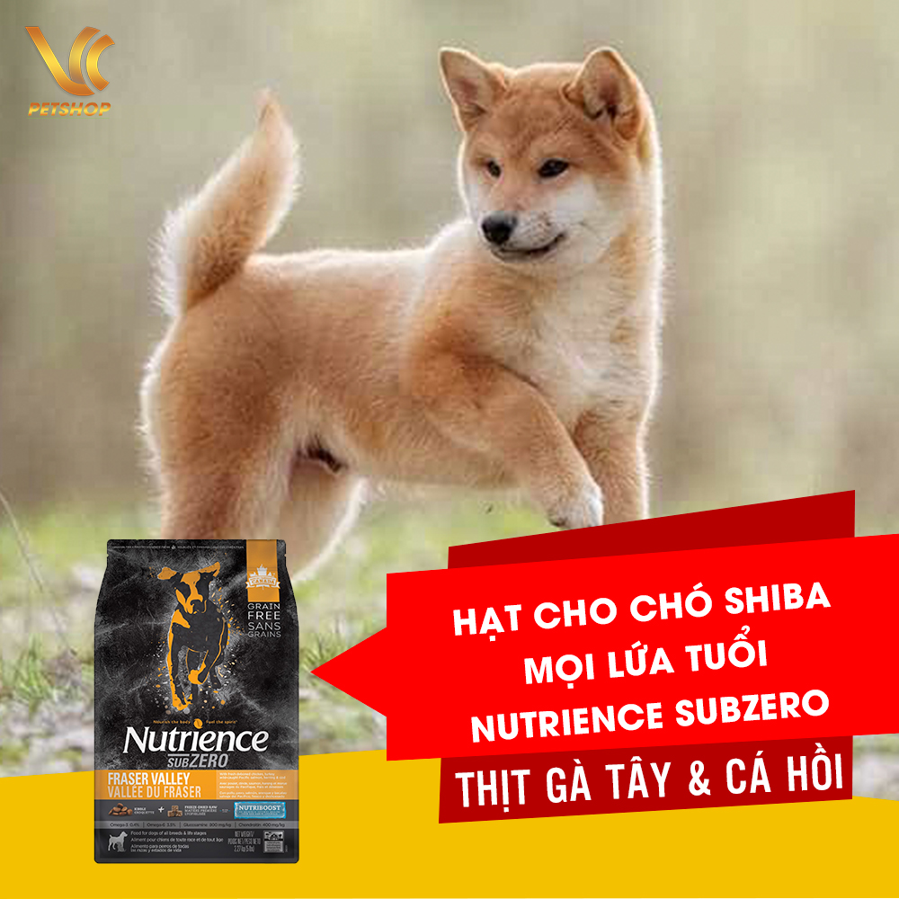 Thức ăn hạt thịt tươi cho chó shiba mọi lứa tuổi | nutrience subzero vị thịt gà tây & cá hồi | vc pet shop