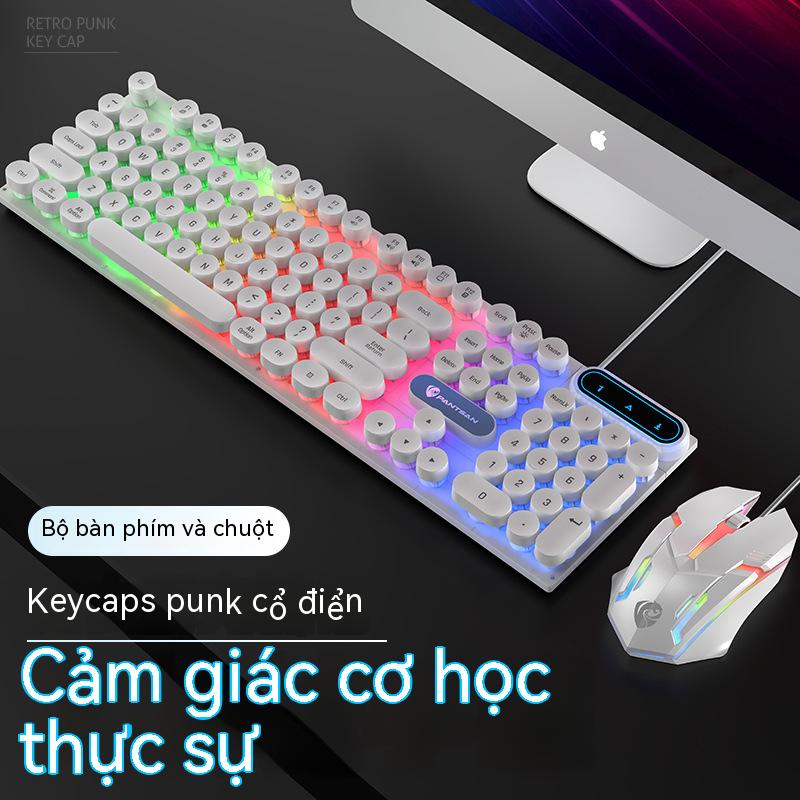 Bàn phím có dây Chuột Set Trò chơi Văn phòng Máy tính để bàn Máy tính xách tay Esports Key Chuột Glowing Mechanical Handling phím máy tính Chuột trò chơi có dây Thiết bị ngoại vi Punk Keyboard