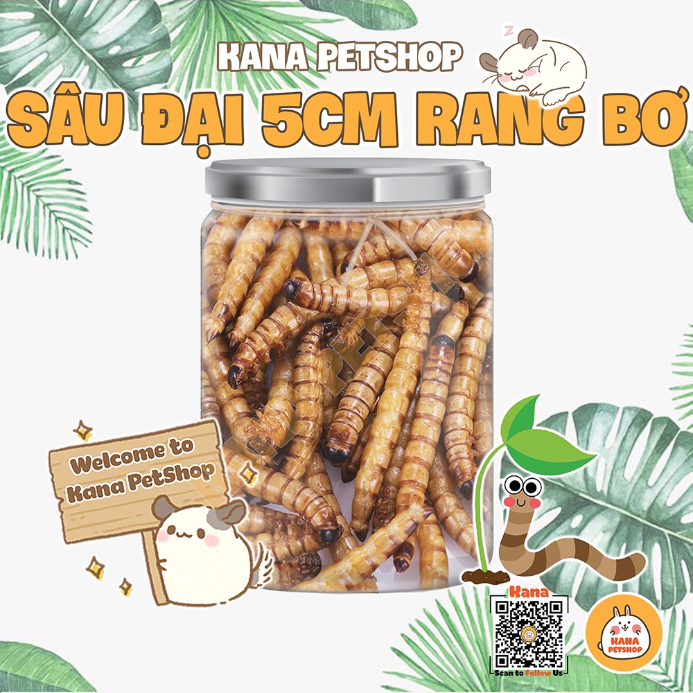Sâu Sấy Khô Hamster 🐹FREESHIP🐹Thức Ăn Sâu Superworm Đại Rang Bơ Dinh Dưỡng Bổ Sung Canxi Hamter Nhím Chim Sóc ....