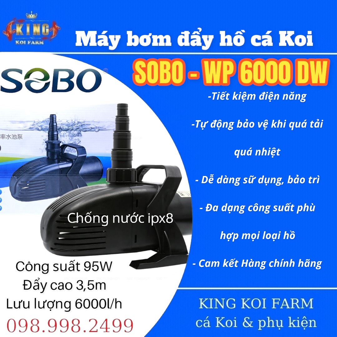 Máy bơm đẩy sobo wp-6000dw wp-8000dw wp-10000dw wp-12000dw wp-20000dw wp-25000dw wp-30000dw máy bơm đẩy hò cá koi
