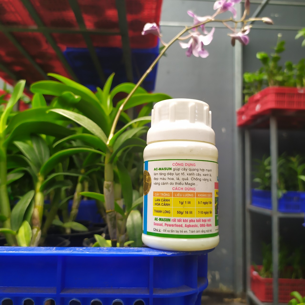 Phân bón bổ sung trung lượng AC - MASUN (Magie Lưu Huỳnh)