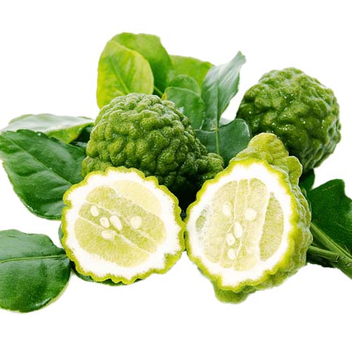 Hạt giống chanh Thái, chanh bưởi Thái, Kaffir lime - gói 10 hạt