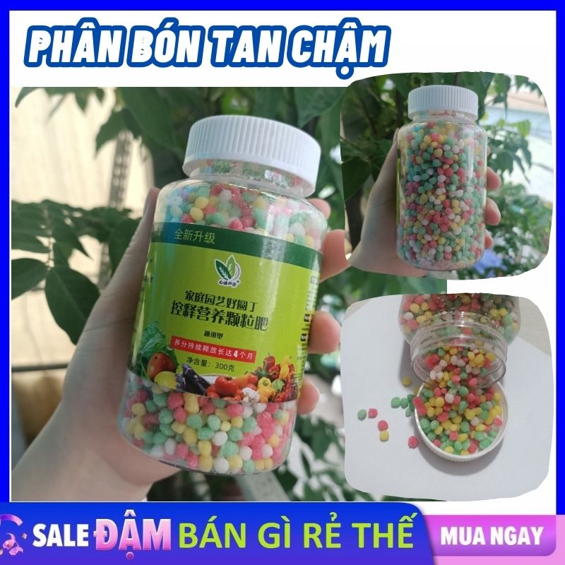 Phân bón tan chậm lọ 300g hạt phân đạm, phốt pho và kali chuyên dùng cho hoa và cây mọng nước trong chậu thông minh / Phân tan chậm kiểm soát cho hoa và cây mọng nước