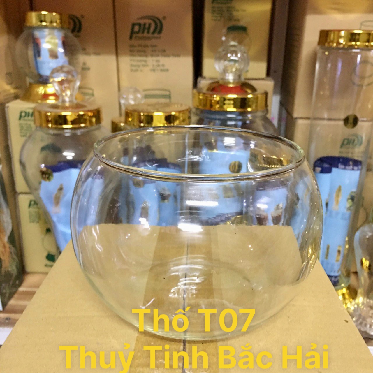 BỂ CÁ THỦY TINH,HỒ CÁ MINI,CHẬU CÂY THỦY SINH ĐỂ BÀN-THỦY TINH BẮC HẢI MẪU T07