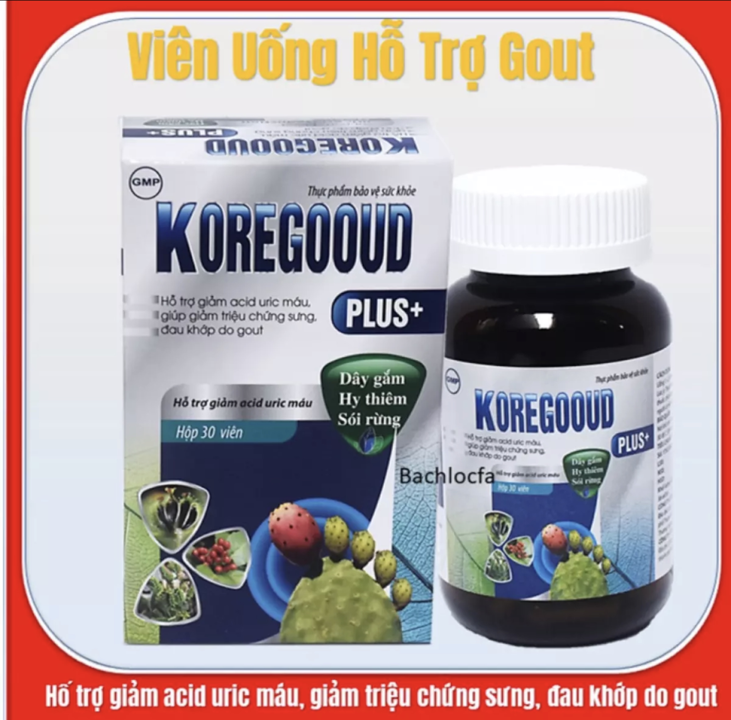 Viên Uống Giảm Gut KoreGooud Plus - Giúp Ổn Định Acid Uric Trong Máu, Giảm Đau Gout Hiệu Quả