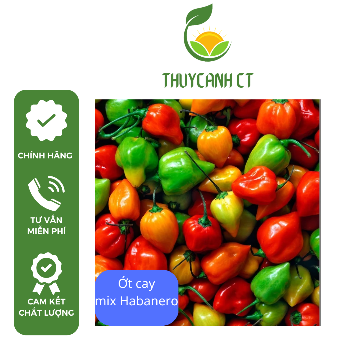 Hạt Giống Ớt Siêu Cay Habanero mix hãng Johnny’s Seeds
