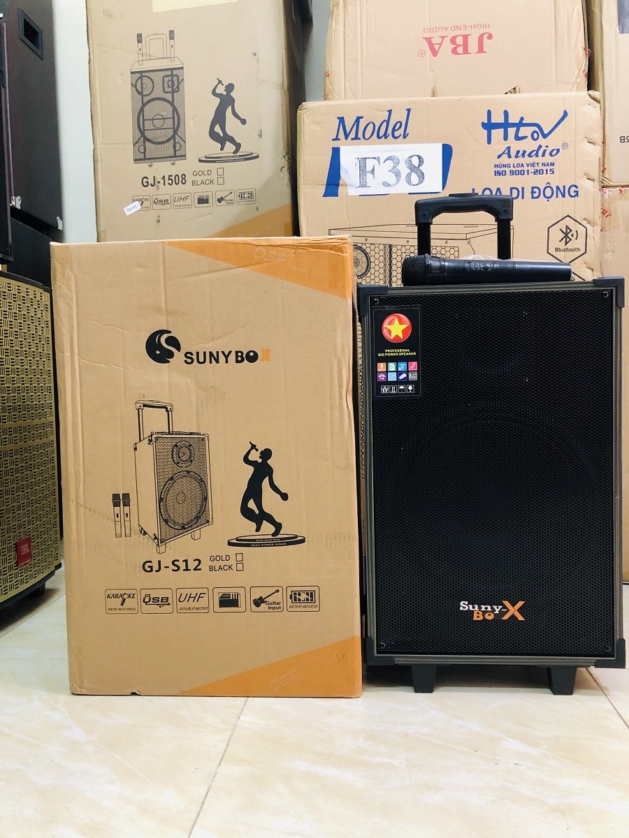 Loa kéo bass 30, vỏ gỗ , 2 micro không dây cao cấp