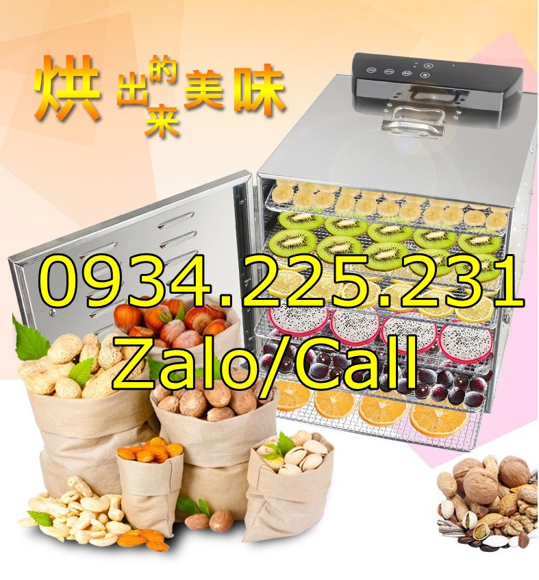 [Hàng sẵn] Tủ sấy thực phẩm, dược liệu, hoa quả, hải sản loại 6 Tầng INox cao cấp