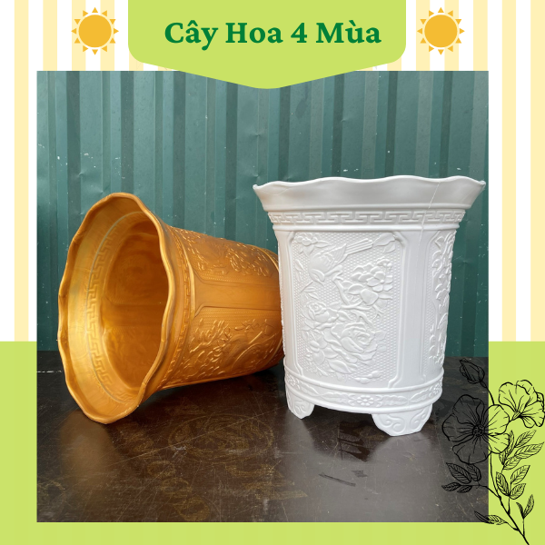 Chậu nhựa tứ quý tròn trồng cây kiểng hoa loại 1 cực dày dặn Combo 3 Chậu
