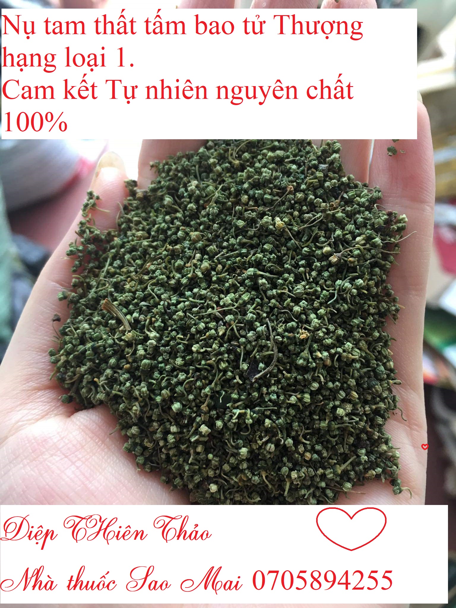 500gr nụ tam thất dạng tấm thượng hạng loại đẹp nhất