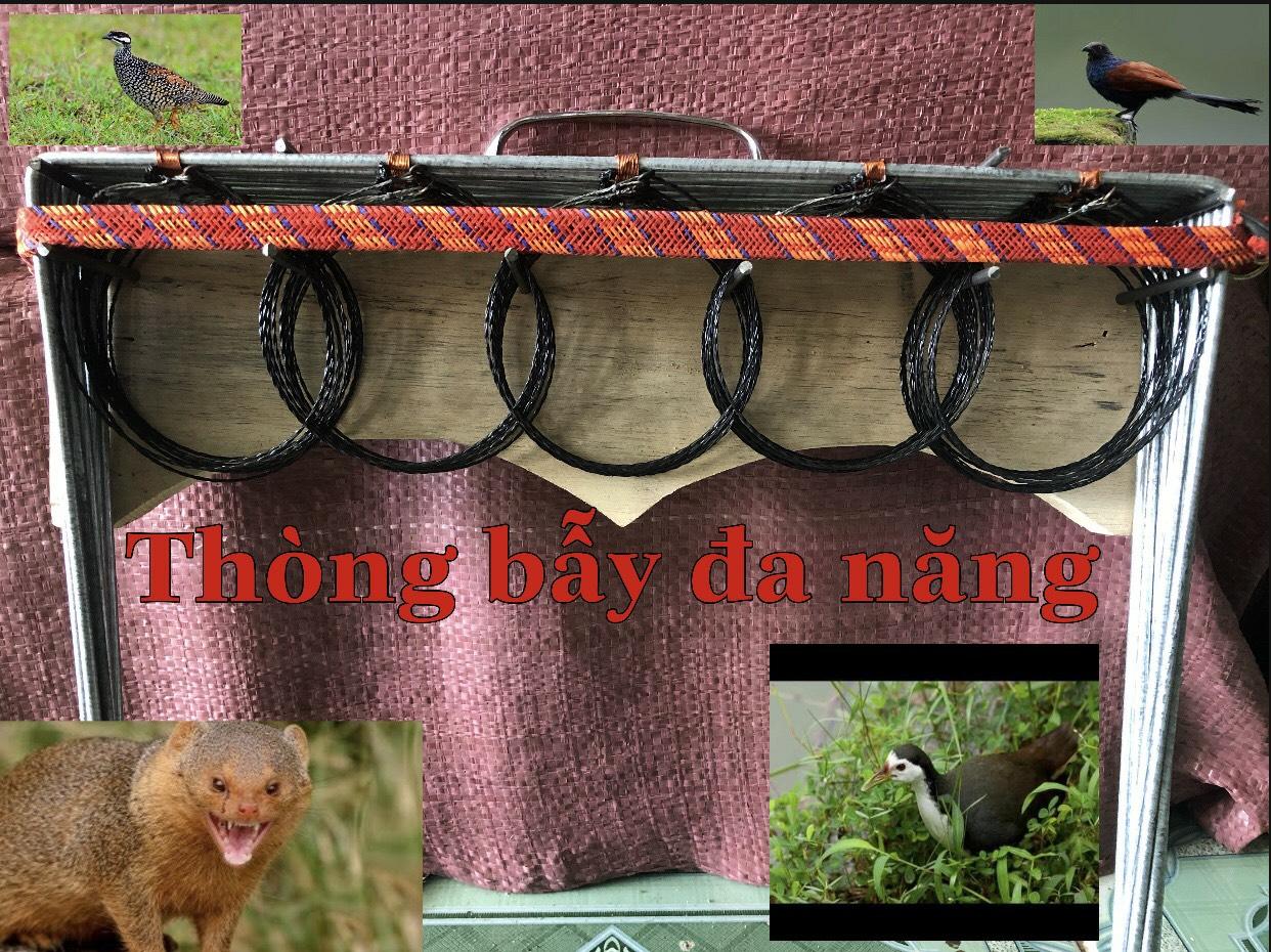 thòng bẫy chồn quốc bìm bịp trích ré đa đa