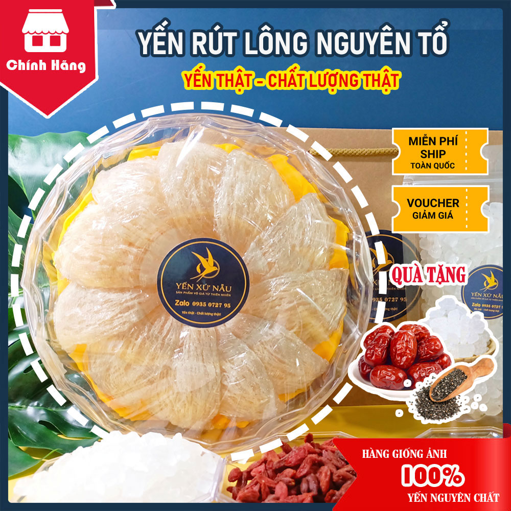 100gr yến sào rút lông nguyên tổ - quà tặng táo đỏ + đường phèn + hạt chia - yến xứ nẫu - yến bình định