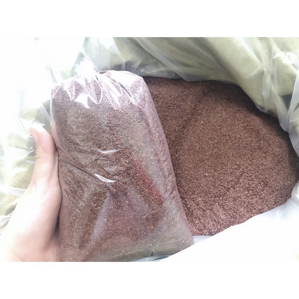 1kg Hạt đình lịch (hạt ngũ hoa) - TD127 sản phẩm handmade từ thiên nhiên