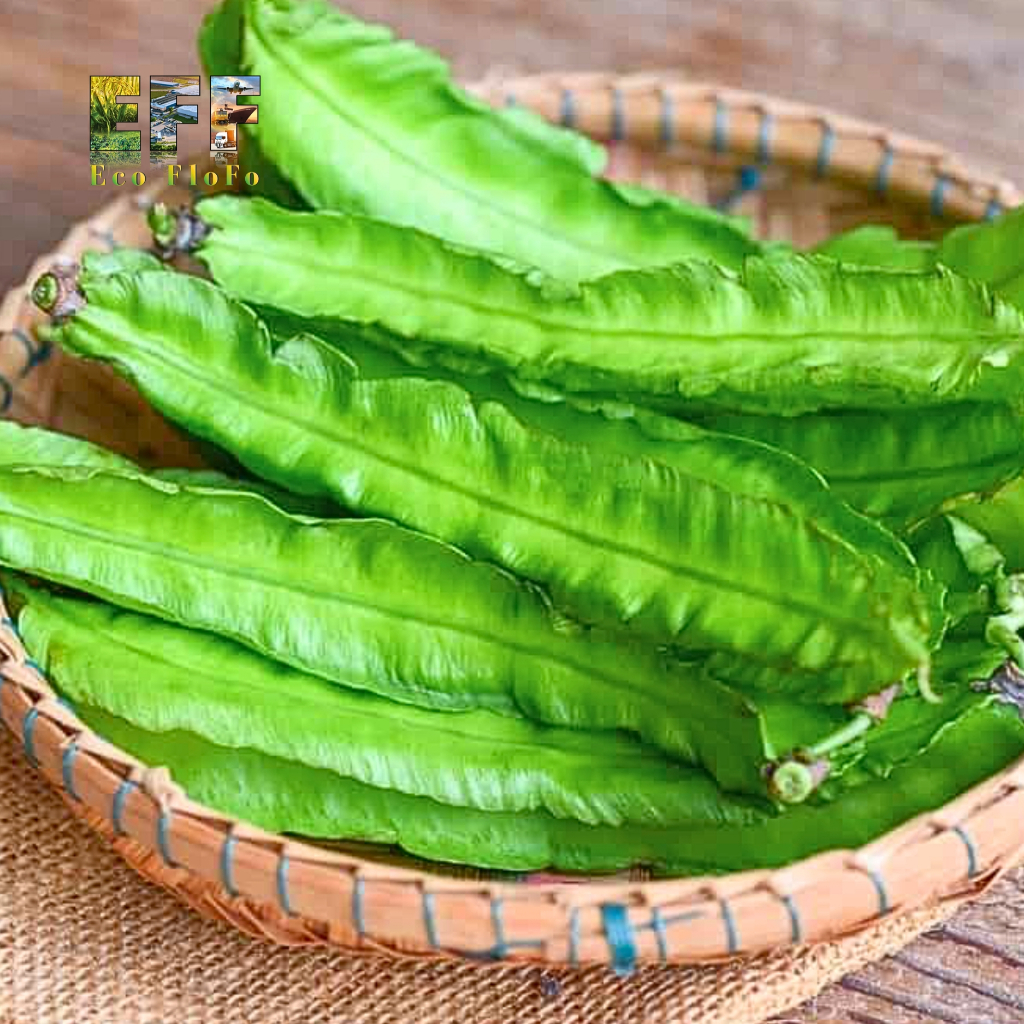 1 Thùng 6Kg Đậu Rồng Eco FloFo Đạt Chuẩn VietGAP (Chỉ Bán Hàng Loại A+ Được Tuyển Chọn Để Xuất Khẩu)