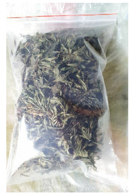 Lá đinh lăng khô 100g loại cao cấp nhà trồng