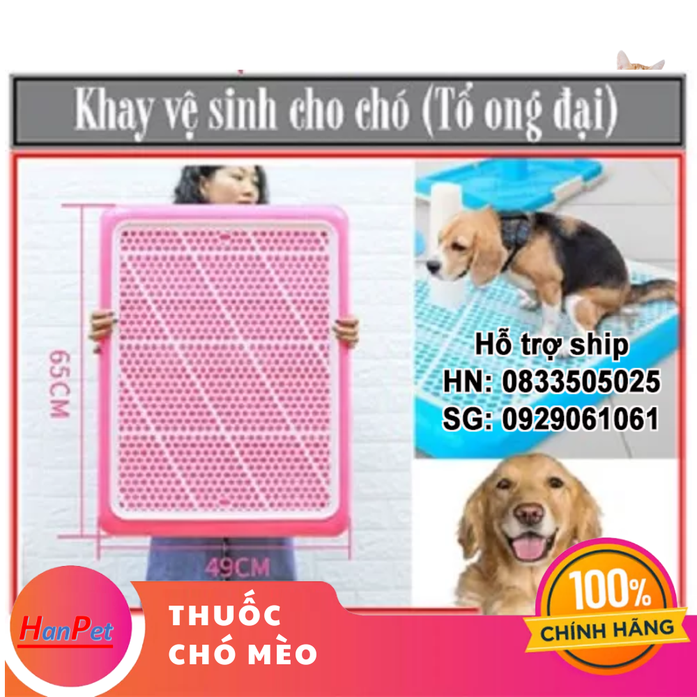 Hanpet - Khay vệ sinh chó khay nhựa vệ sinh chó / khay hứng kít chó / khay cho chó / hướng dẫn chó đi vệ sinh đúng chỗ / khay đi vệ sinh cho chó / chọn mua khay vs chó