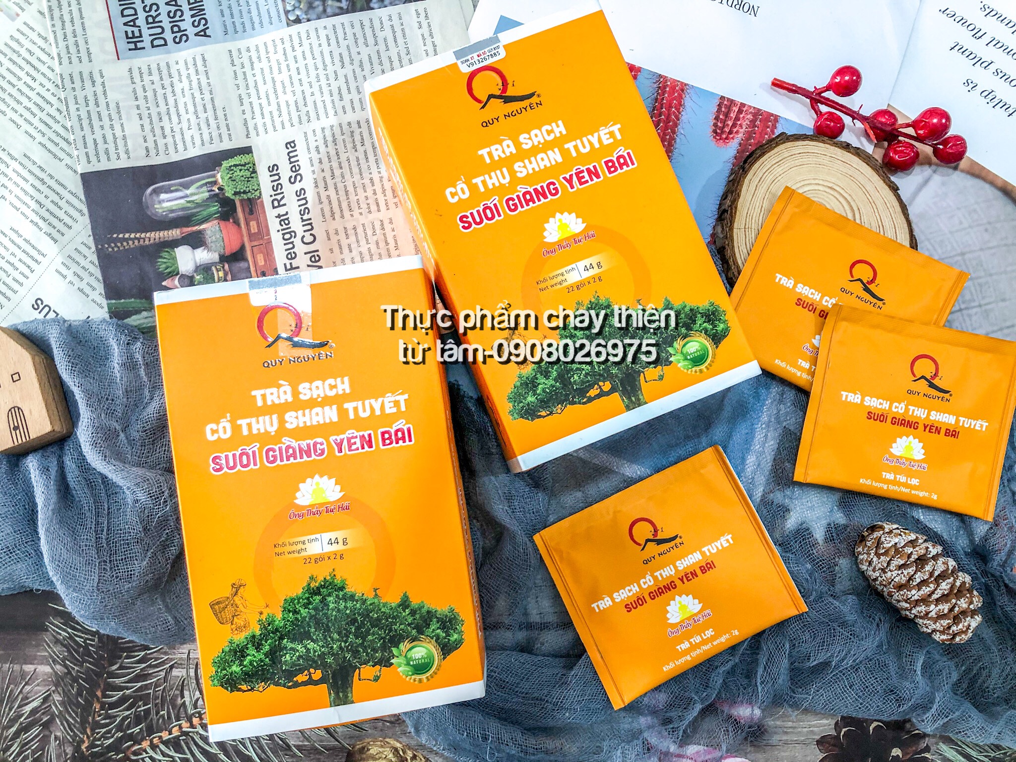 Trà sạch cổ thụ shan tuyết suối vàng yên bái quy nguên