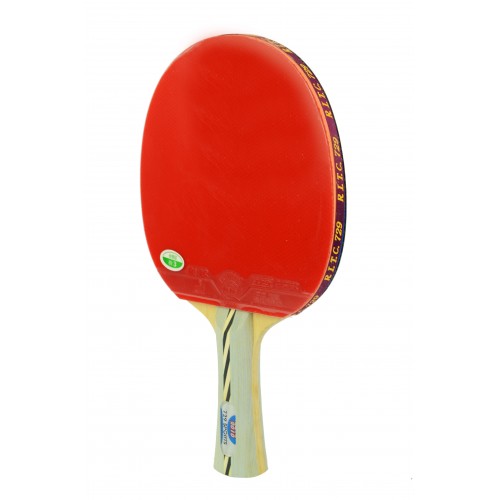 Vợt bóng bàn 729 -2010