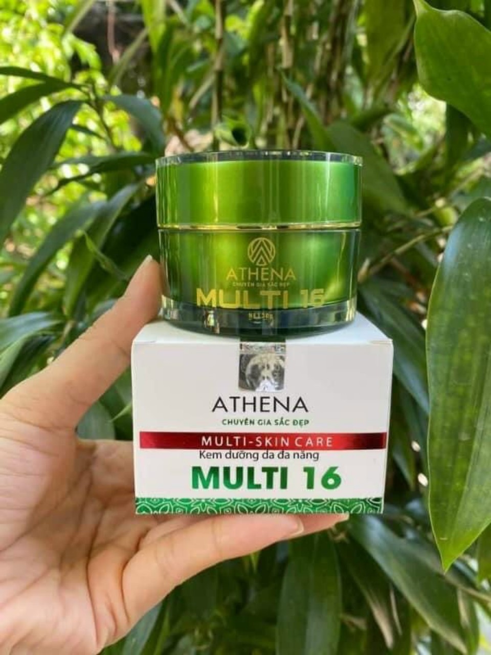Kem multi 16 hũ to 30g