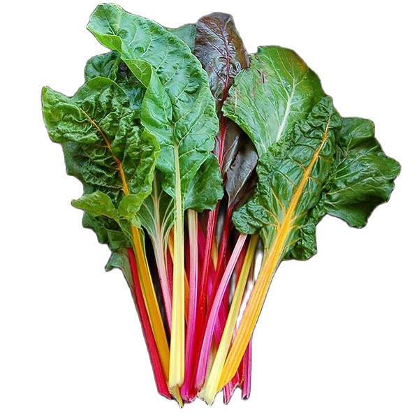 Hạt giống cải cầu vòng chịu nhiệt gói 5g giá rẻ