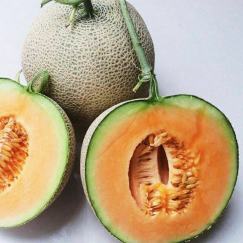 Hạt giống dưa lưới f1 siêu ngon- gói 1gr