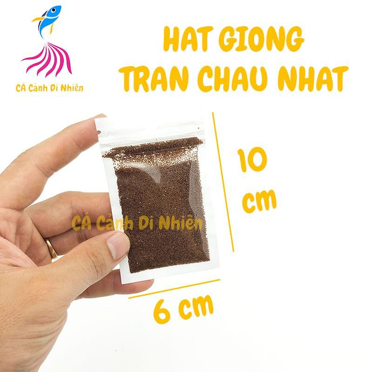 Hạt giống thủy sinh cỏ Trân Châu Nhật