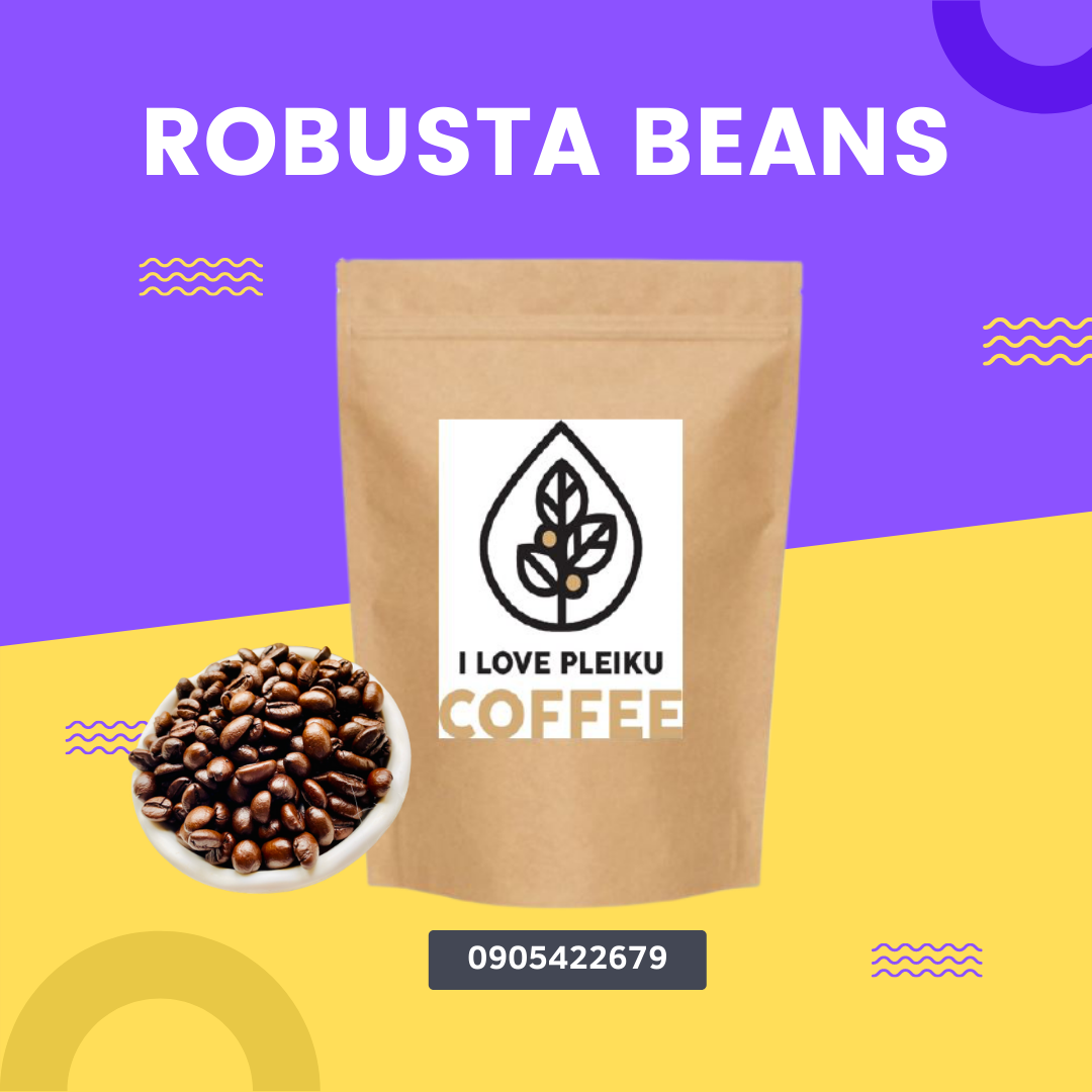 Cà phê hạt Robusta rang mộc nguyên chất