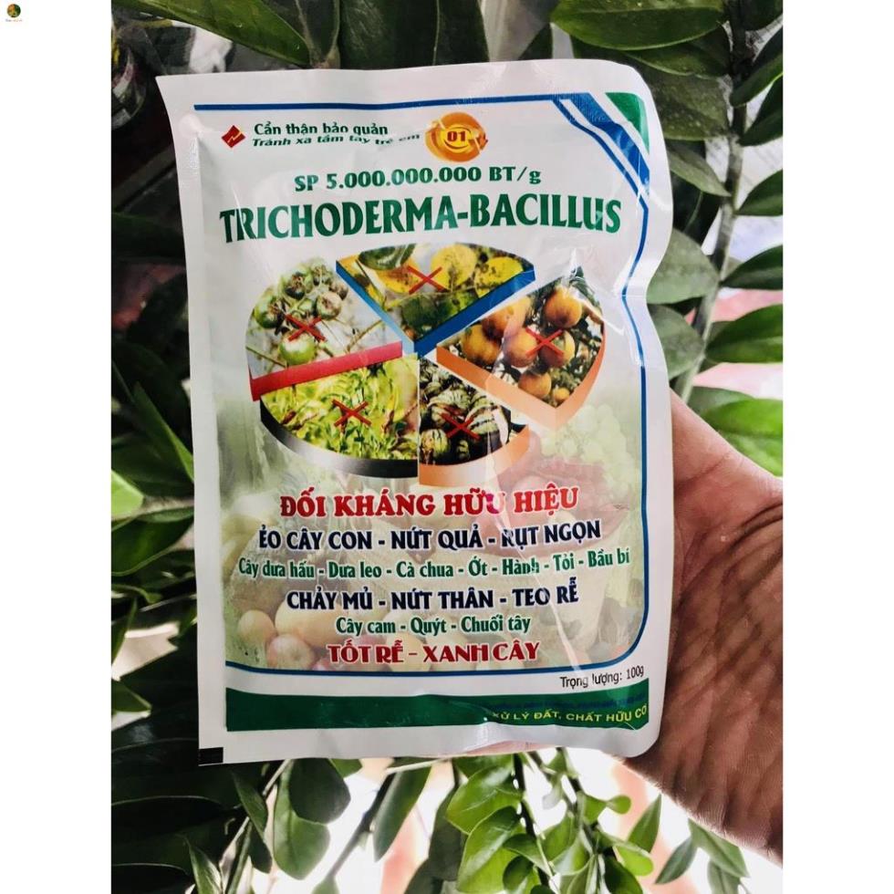 Chế phẩm sinh học Nấm Trichoderma - Bacillus Gói 100 gam phòng trừ nứt thân sì mủ, vàng lá thối rễ