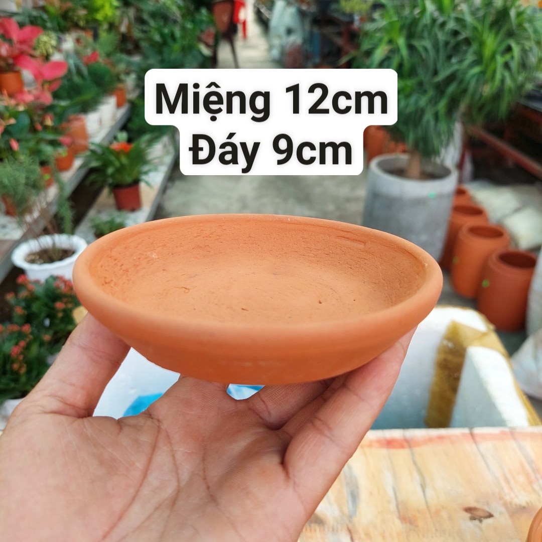 Chậu đất nung Bình Dương - Dĩa lót chậu, miệng dĩa 12cm, đáy dĩa 9cm