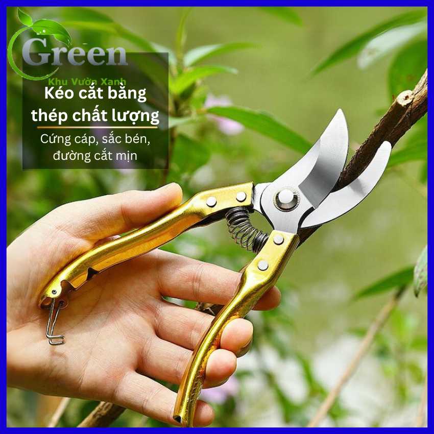 Kéo Cắt Cành Cây Chuyên Nghiệp Cán Vàng Lưỡi Bầu (Kèm Lò Xo Dự Phòng)
