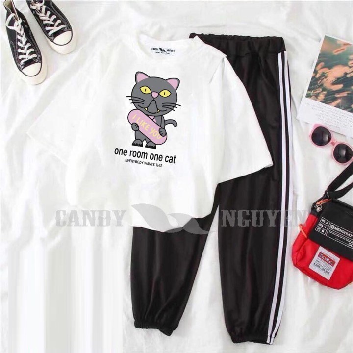 [HAN HAN SHOP 142] Sét Bộ Đồ Quần Áo Nữ, Áo Phông Cotton Mát Mịn In Hoạt HÌnh Kèm Quần Thun Sọc Bo Gấu Mặc Đi Chơi