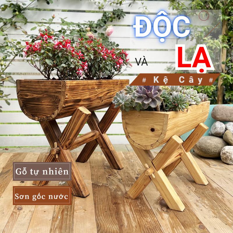 Chậu gỗ trồng cây Keria chân chữ X, mẫu chậu trồng sen đá, trồng hoa, trồng rau. Chậu bằng gỗ tự nhiên lắp ráp dễ dàng với mọi người, đây là mẫu chậu cây trồng cây sân vườn, cây cảnh