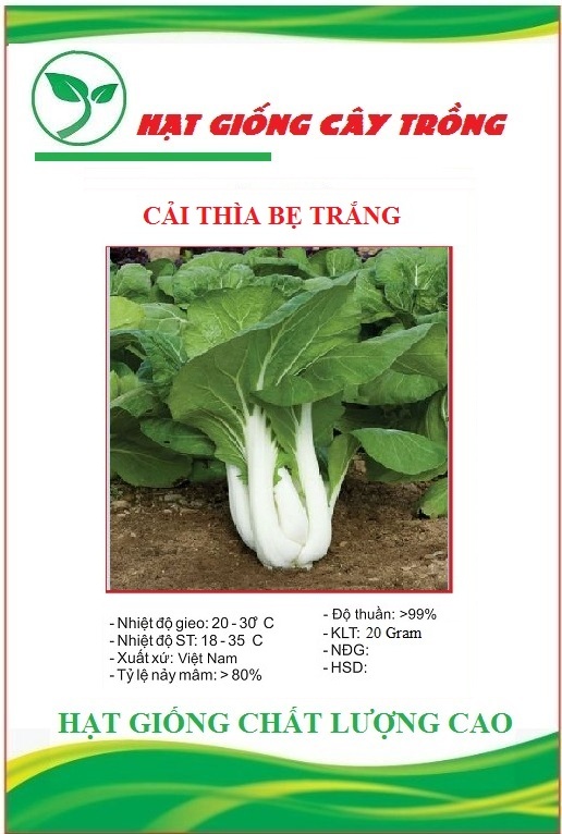 Hạt giống rau cải thìa cao sản - 1 gói 20gram