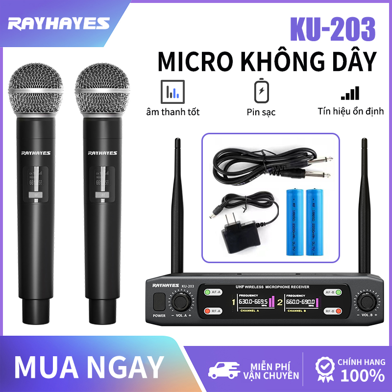 RAYHAYES Professional sạc micro không dây kép cho hệ thống Karaoke