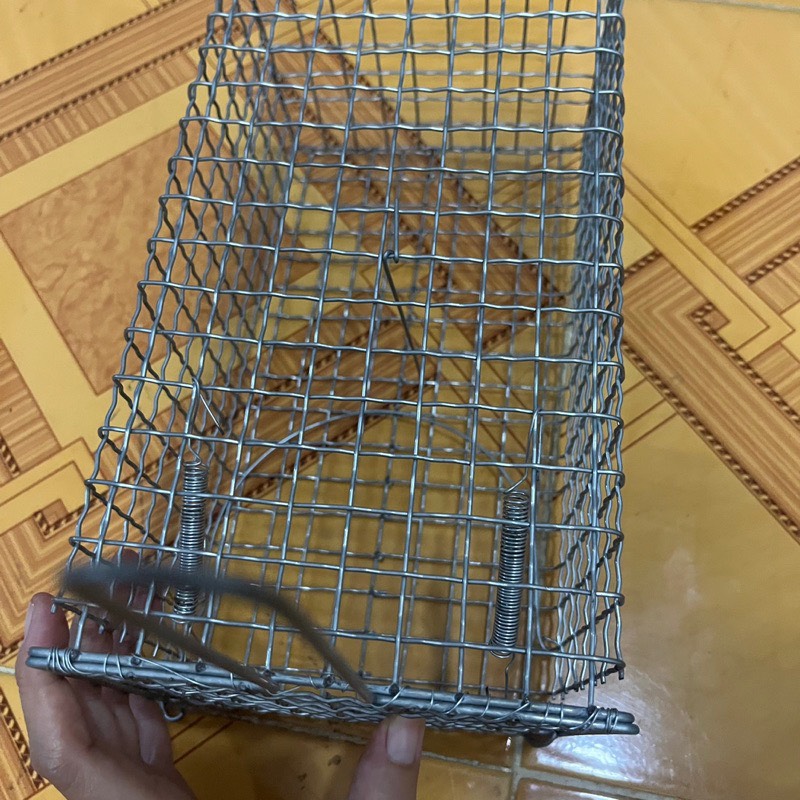 Lồng bẫy chuột có khoen cửa sập siêu nhạy