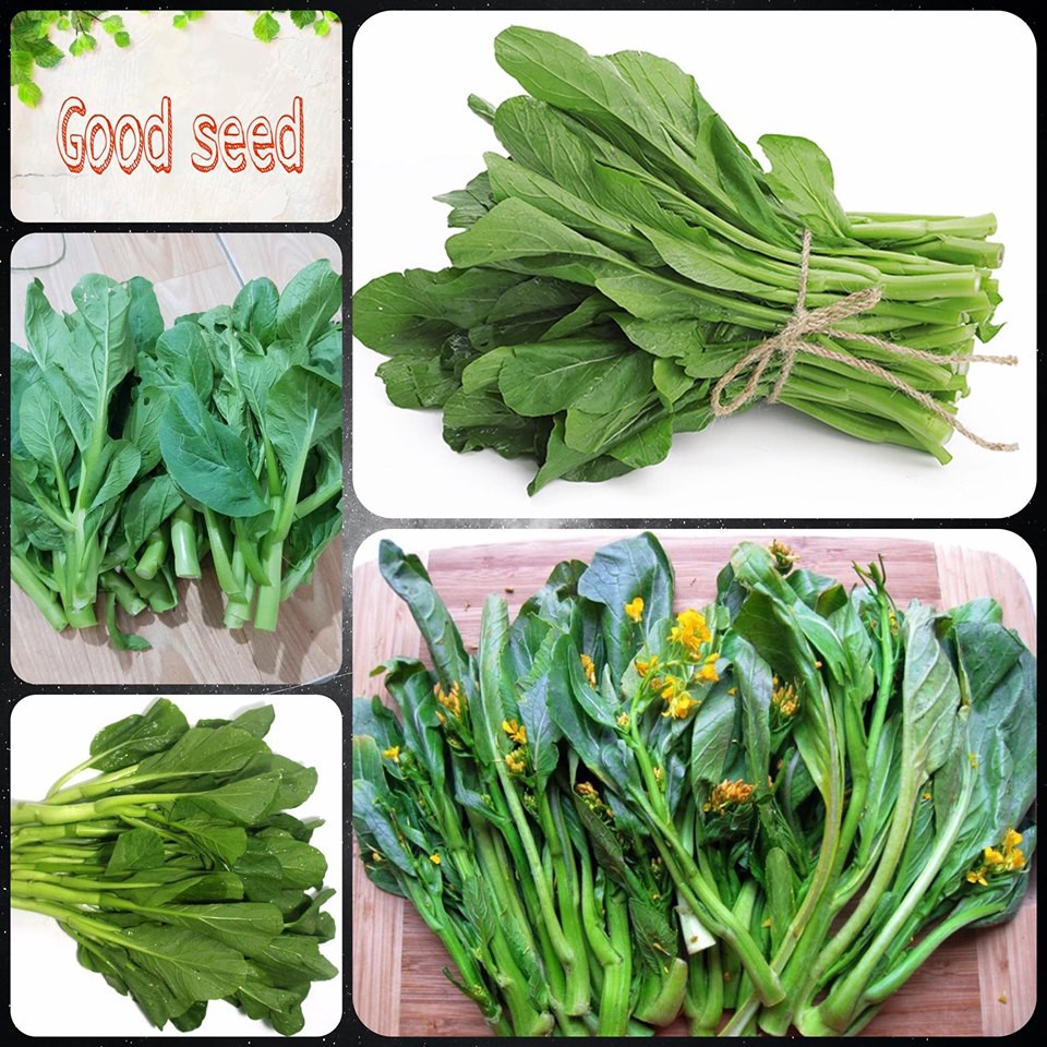 Cải ngồng cao sản f1 10gr