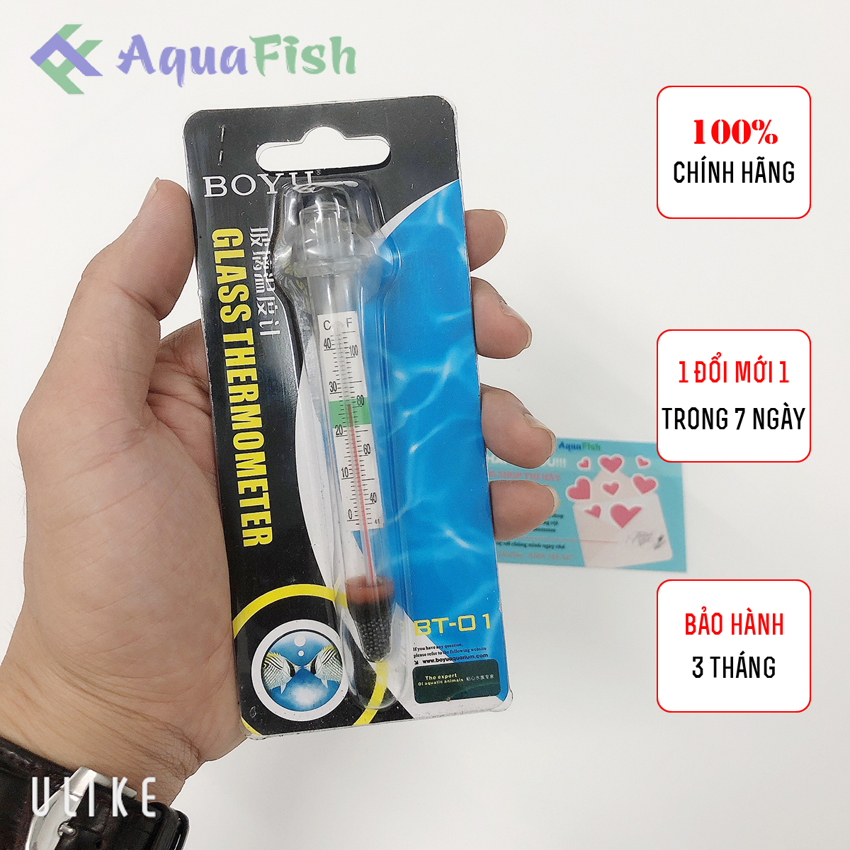 Nhiệt kế thủy tinh boyu dùng cho bể cá