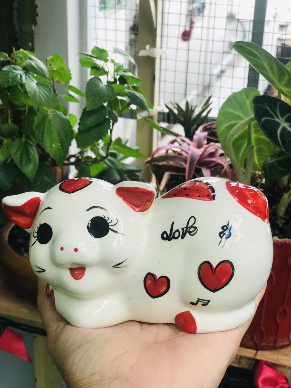 Heo đất sứ kute