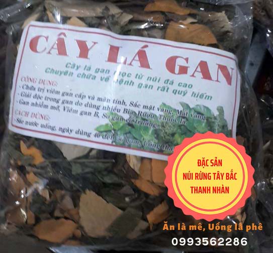Cây lá gan rừng