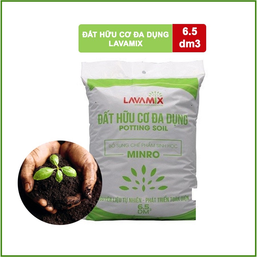 Đất Sạch Trồng Cây