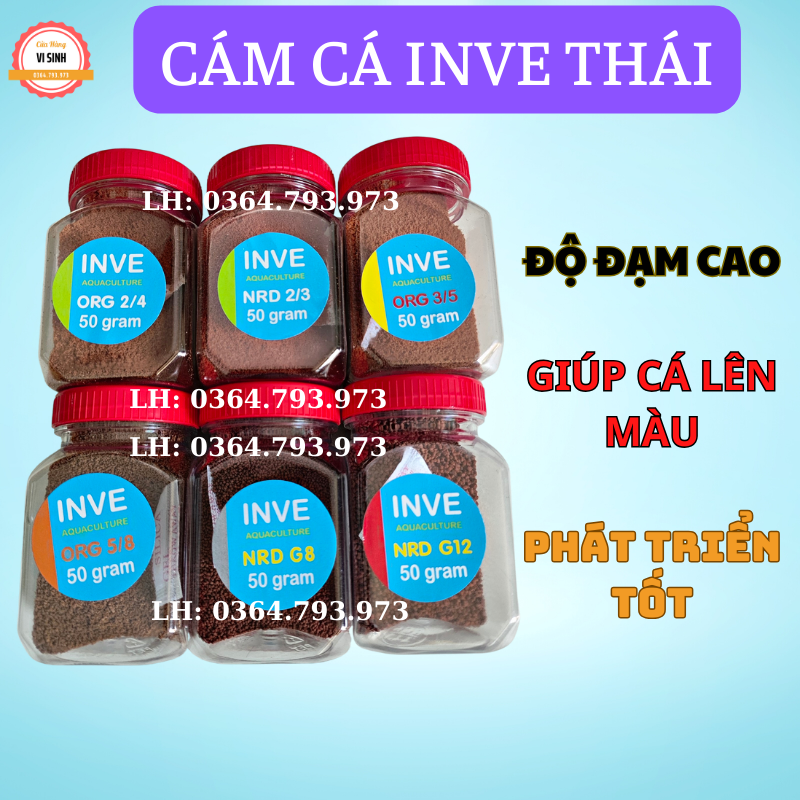 Cám Inve 2/4 3/5 5/8 G8 G12- Thức ăn cho cá cảnh từ nhỏ đến lớn - thức ăn cao cấp cho cá thủy sinh-guppy, betta - CÁM THÁI INVE 50GR