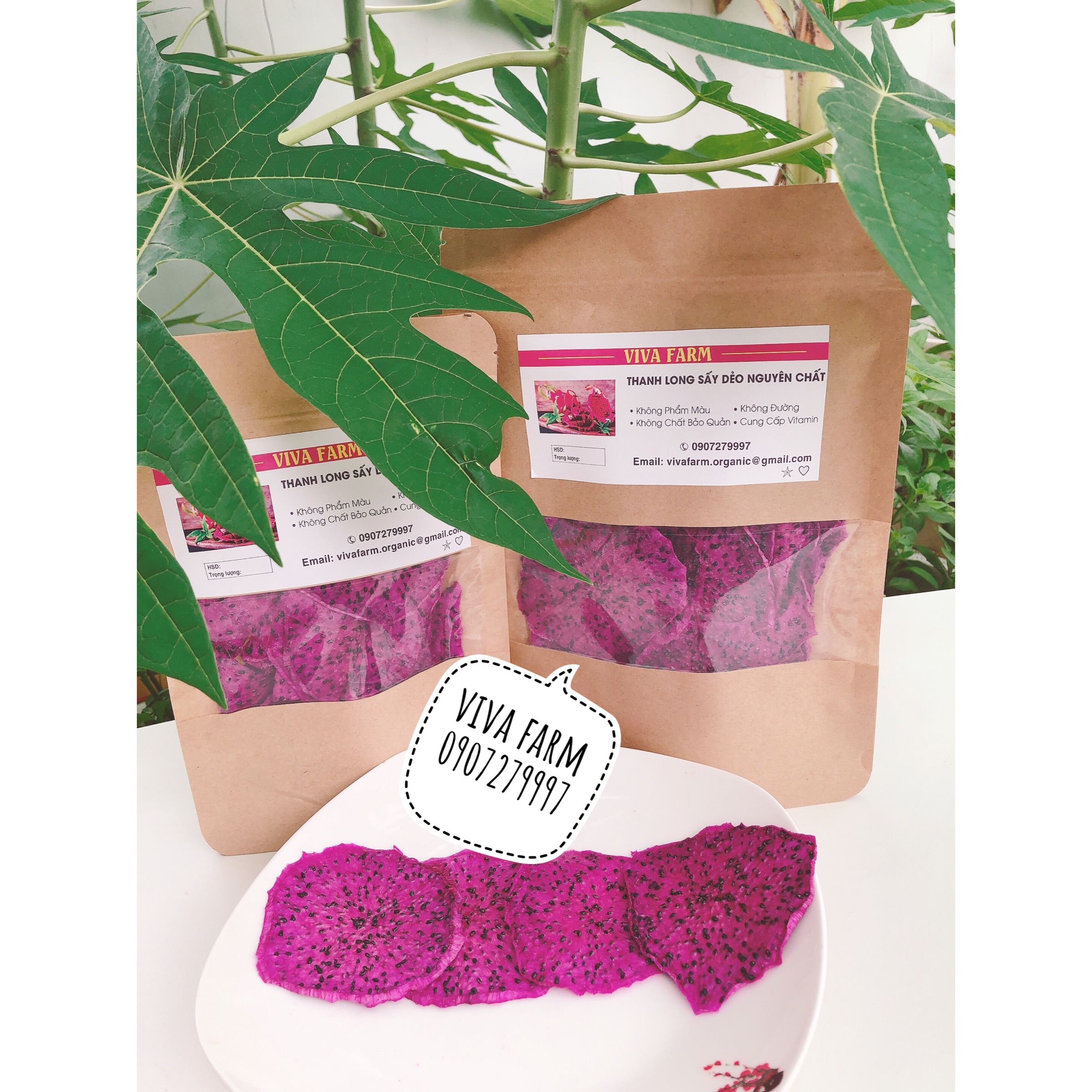 Thanh long sấy dẻo 100gr, trái cây sấy dẻo VIVAFARM, trái cây sấy không đường nguyên chất không chất bảo quản