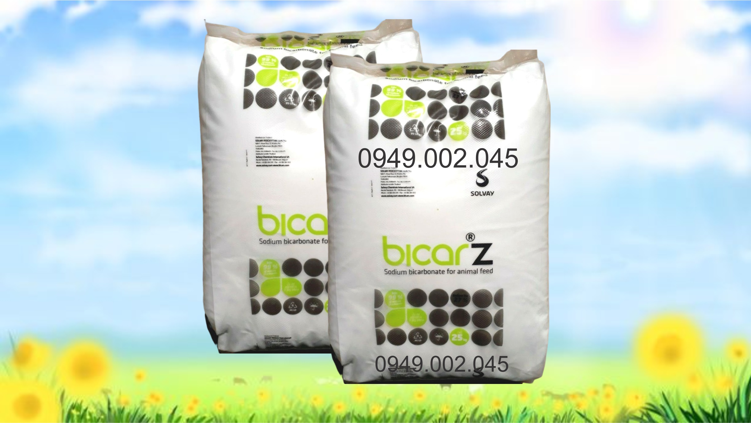 40 bao Bicar Z - Sodium bicarbonate tăng kiềm ao nuôi tôm cá