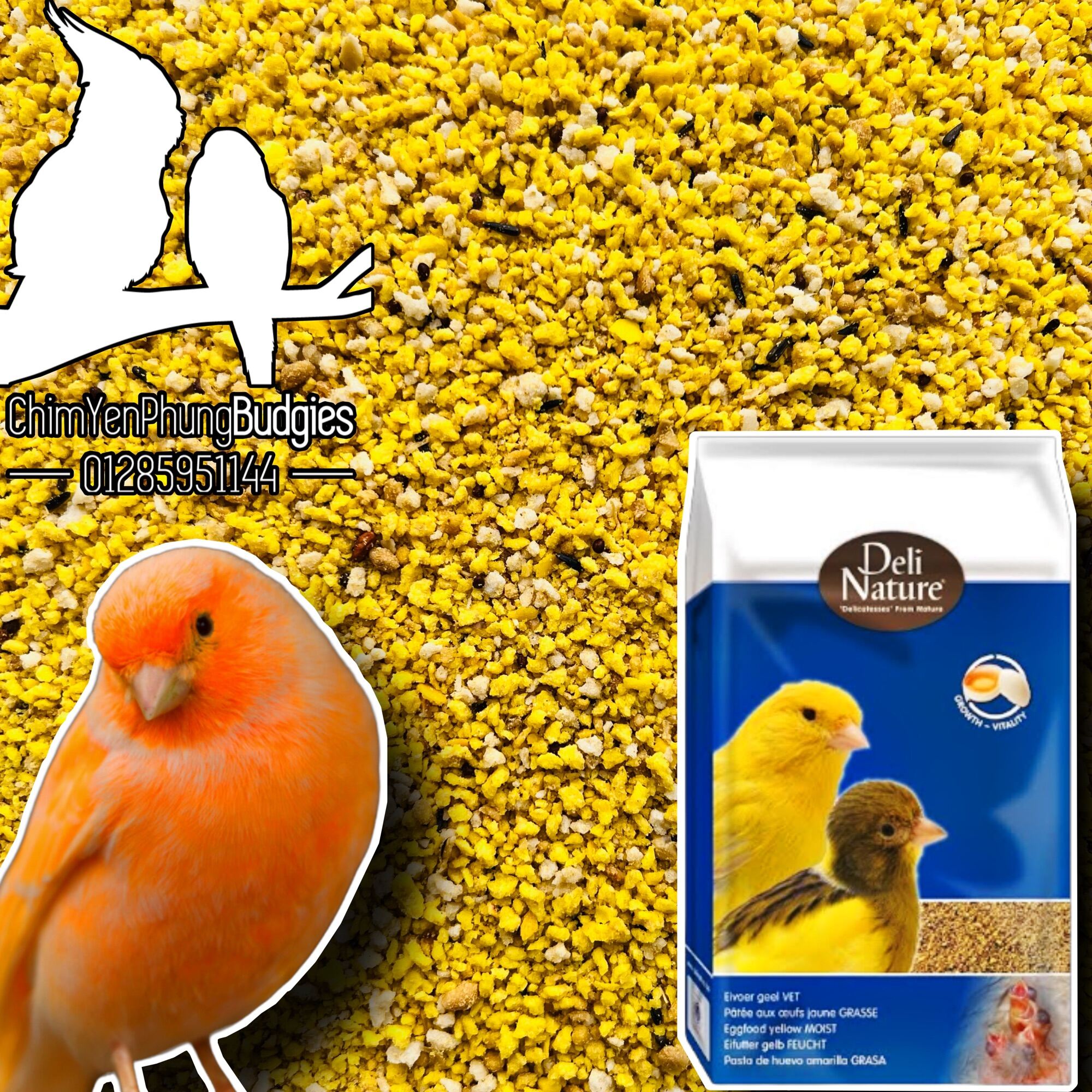 1kg cám trứng Deli cho Yến Hót, Hamster - xuất xứ: Bỉ 🇧🇪🇧🇪🇧🇪