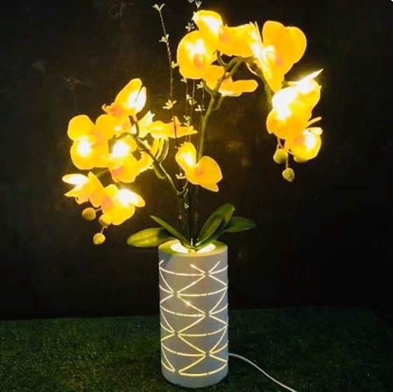 Chậu hoa lan hồ điệp đèn led tặng dây đèn 3m bi đục sáng 1 màu vàng