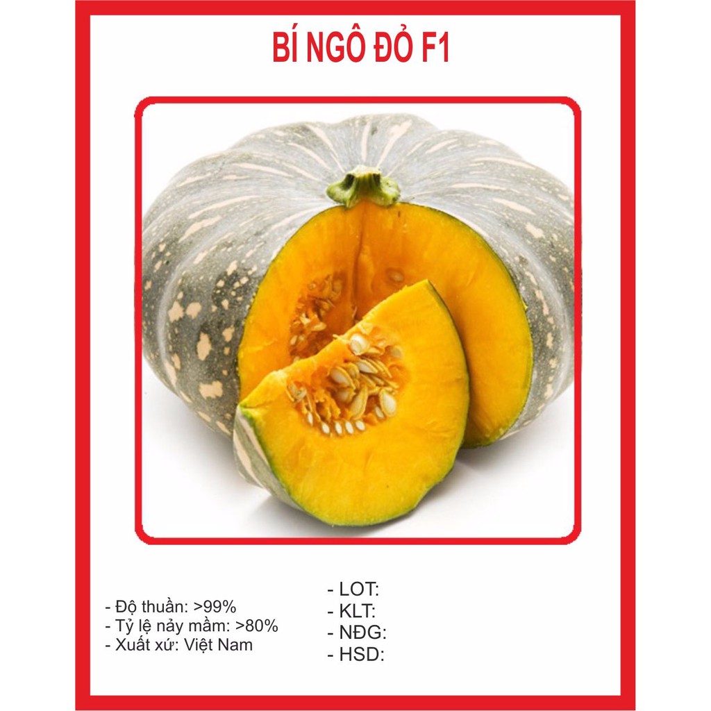 Hạt giống bí ngô đỏ 10 hạt