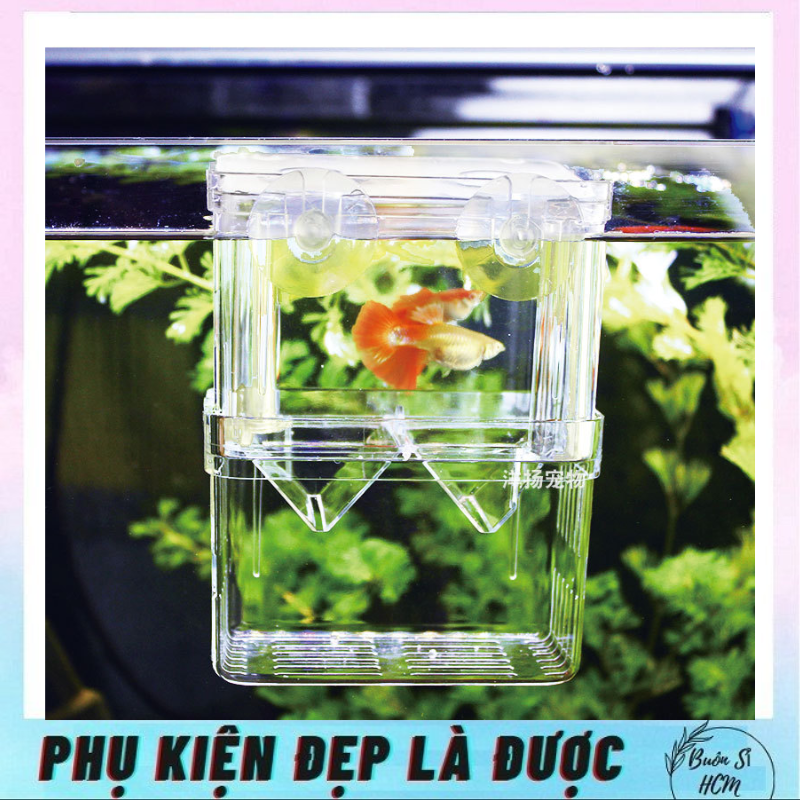 Lồng đẻ cá, lồng cách ly cá con sau sinh, size 10x7x13cm, khay ép cá đẻ trứng, khay đẻ đơn cho cá 7 màu,đa năng tiện lợi